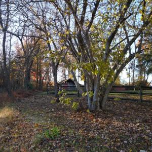 Photo #50 of 10188 Stage Coach Road, Nathalie, VA 2.9 acres