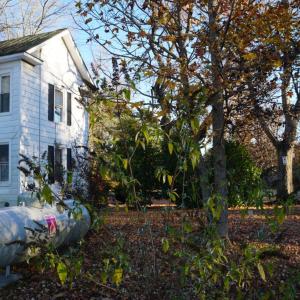 Photo #64 of 10188 Stage Coach Road, Gretna, VA 2.9 acres