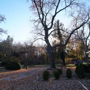 Photo #61 of 10188 Stage Coach Road, Gretna, VA 2.9 acres