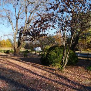 Photo #53 of 10188 Stage Coach Road, Gretna, VA 2.9 acres