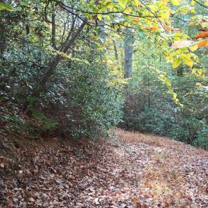 Photo #60 of 125 River Breeze Court, Howardsville, VA 10.2 acres