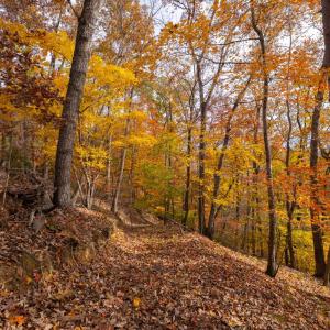 Photo #54 of 125 River Breeze Court, Howardsville, VA 10.2 acres