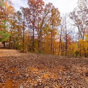 Photo #53 of 125 River Breeze Court, Howardsville, VA 10.2 acres