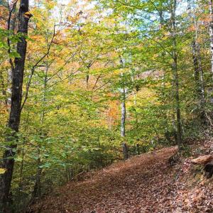 Photo #57 of 125 River Breeze Court, Howardsville, VA 10.2 acres