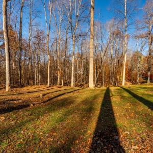 Photo #40 of 208 Merrywood Drive, Forest, VA 3.3 acres