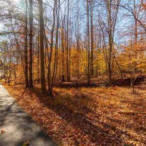 Photo #50 of 208 Merrywood Drive, Forest, VA 3.3 acres