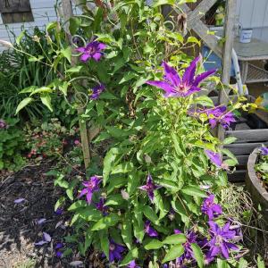 Photo #48 of 1618 Quaker Church Road, Bedford, VA 3.0 acres