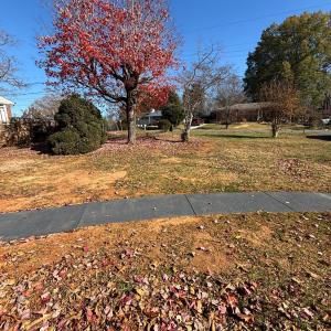 Photo #36 of 3929 Moorman Drive, Lynchburg, VA 1.0 acres