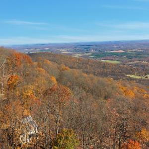 Photo #42 of 371 Hawks Nest Road, Monroe, VA 20.6 acres