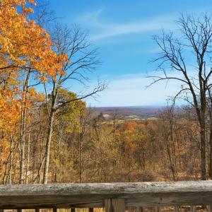 Photo #27 of 371 Hawks Nest Road, Monroe, VA 20.6 acres