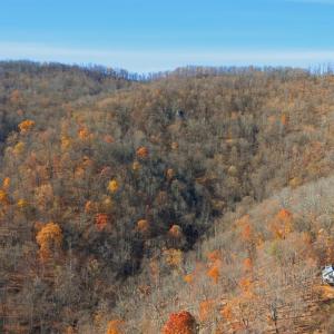 Photo #41 of 371 Hawks Nest Road, Monroe, VA 20.6 acres