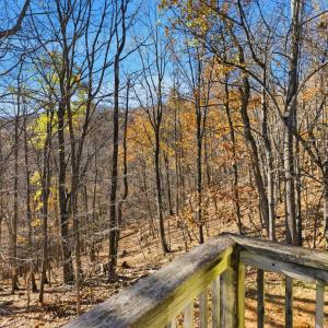 Photo #36 of 371 Hawks Nest Road, Monroe, VA 20.6 acres