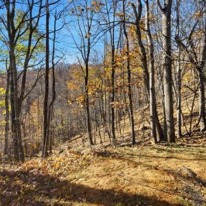 Photo #37 of 371 Hawks Nest Road, Monroe, VA 20.6 acres