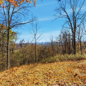 Photo #46 of 371 Hawks Nest Road, Monroe, VA 20.6 acres