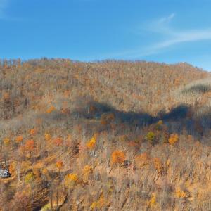 Photo #39 of 371 Hawks Nest Road, Monroe, VA 20.6 acres