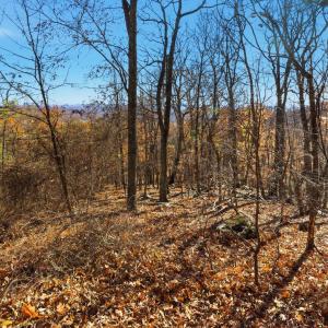 Photo #38 of 371 Hawks Nest Road, Monroe, VA 20.6 acres