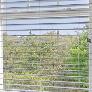 Photo #15 of 1600 Wards Ferry Road, Lynchburg, VA 0.1 acres