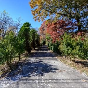 Photo #39 of 118 Patricia Drive, Lynchburg, VA 1.8 acres