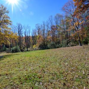 Photo #41 of 118 Patricia Drive, Lynchburg, VA 1.8 acres
