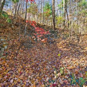 Photo #47 of 1905 Karnes Road, Bedford, VA 8.0 acres