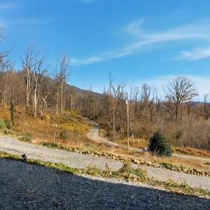 Photo #50 of 1905 Karnes Road, Bedford, VA 8.0 acres