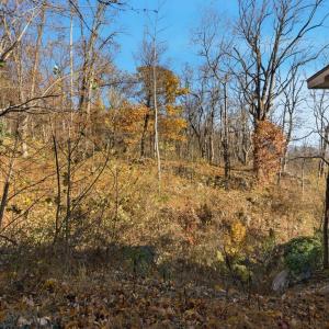 Photo #49 of 1905 Karnes Road, Bedford, VA 8.0 acres