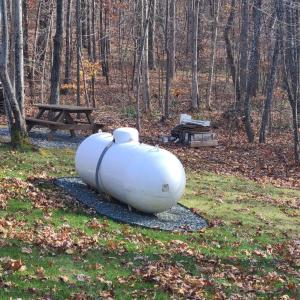 Photo #42 of 1231 Little Bear Lane, Spout Spring, VA 1.1 acres