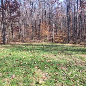 Photo #46 of 1231 Little Bear Lane, Spout Spring, VA 1.1 acres
