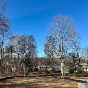 Photo #4 of 238 Ash Road, Louisa, VA 0.3 acres