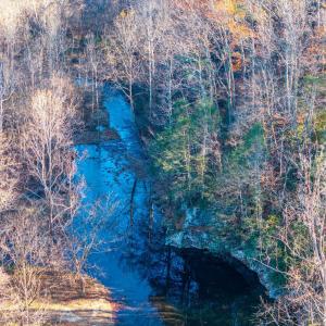 Photo #5 of 287 Castle Creek Lane, Roseland, VA 6.0 acres