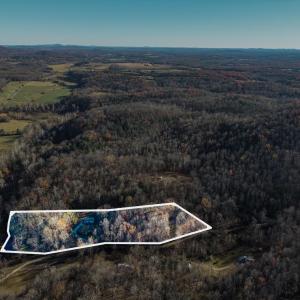 Photo #4 of 287 Castle Creek Lane, Roseland, VA 6.0 acres