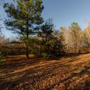 Photo #39 of 1708 Mud Street, Concord, VA 3.0 acres