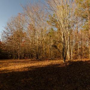 Photo #41 of 1708 Mud Street, Concord, VA 3.0 acres