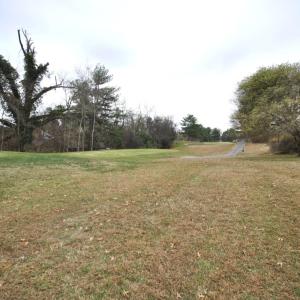 Photo #67 of 114 Lake Ridge Drive, Forest, VA 0.7 acres