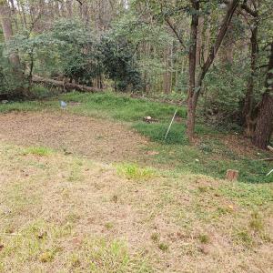 Photo #4 of 1530 Augusta Street, Lynchburg, VA 0.2 acres