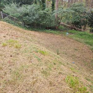 Photo #5 of 1530 Augusta Street, Lynchburg, VA 0.2 acres