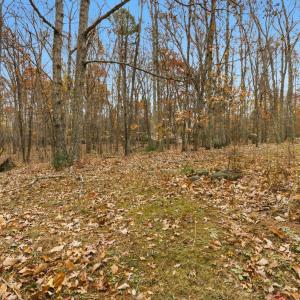 Photo #28 of 969 Hawkins Road, Evington, VA 2.1 acres
