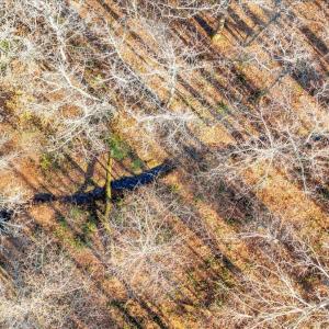 Photo #73 of 5050 Falkland Road, Scottsburg, VA 159.2 acres