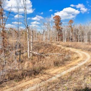 Photo #82 of 5050 Falkland Road, Scottsburg, VA 159.2 acres