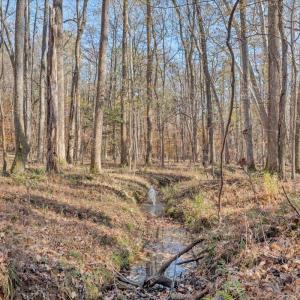 Photo #67 of 5050 Falkland Road, Scottsburg, VA 159.2 acres