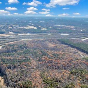 Photo #81 of 5050 Falkland Road, Scottsburg, VA 159.2 acres