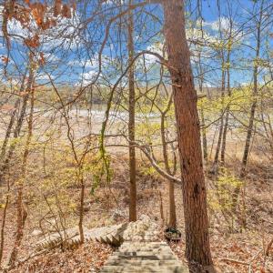 Photo #44 of 5050 Falkland Road, Scottsburg, VA 159.2 acres