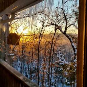 Photo #97 of 5050 Falkland Road, Scottsburg, VA 159.2 acres