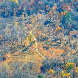 Photo #76 of 5050 Falkland Road, Scottsburg, VA 159.2 acres