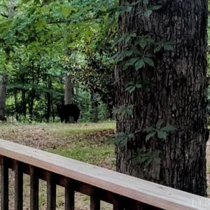 Photo #92 of 5050 Falkland Road, Scottsburg, VA 159.2 acres