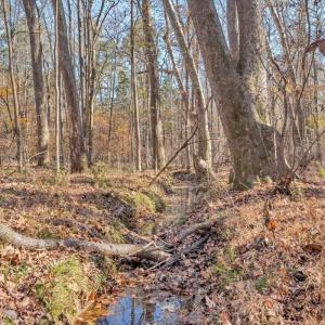 Photo #68 of 5050 Falkland Road, Scottsburg, VA 159.2 acres