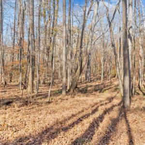 Photo #69 of 5050 Falkland Road, Scottsburg, VA 159.2 acres