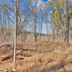 Photo #65 of 5050 Falkland Road, Scottsburg, VA 159.2 acres