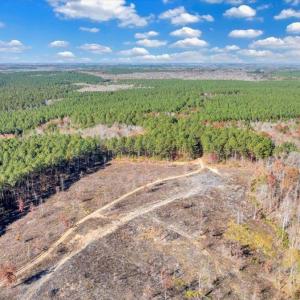 Photo #71 of 5050 Falkland Road, Scottsburg, VA 159.2 acres