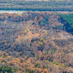 Photo #78 of 5050 Falkland Road, Scottsburg, VA 159.2 acres